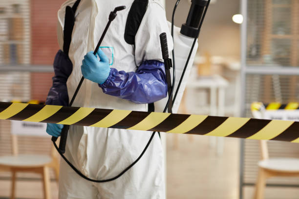 Professional Blood Cleanup technician working in Angleton, TX